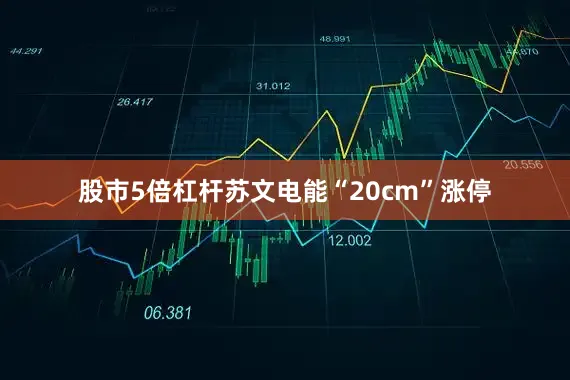 股市5倍杠杆苏文电能“20cm”涨停